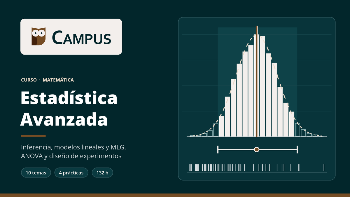 Imagen del curso Estadística Avanzada