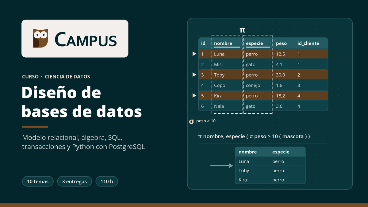 Imagen del curso Diseño de bases de datos